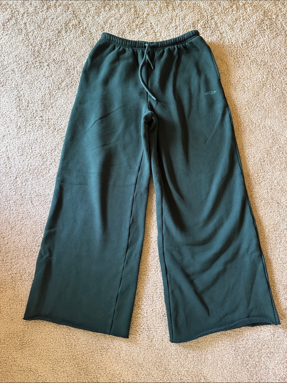 Aritzia Sweatfleece Mega Fit Wide Leg Sweatpants - Forest Green